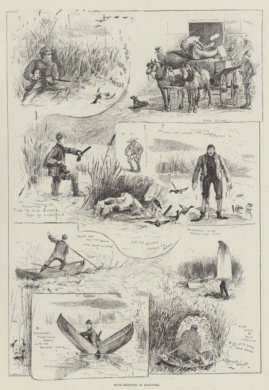 Ankskytte i Manitoba av Henry Charles Seppings Wright