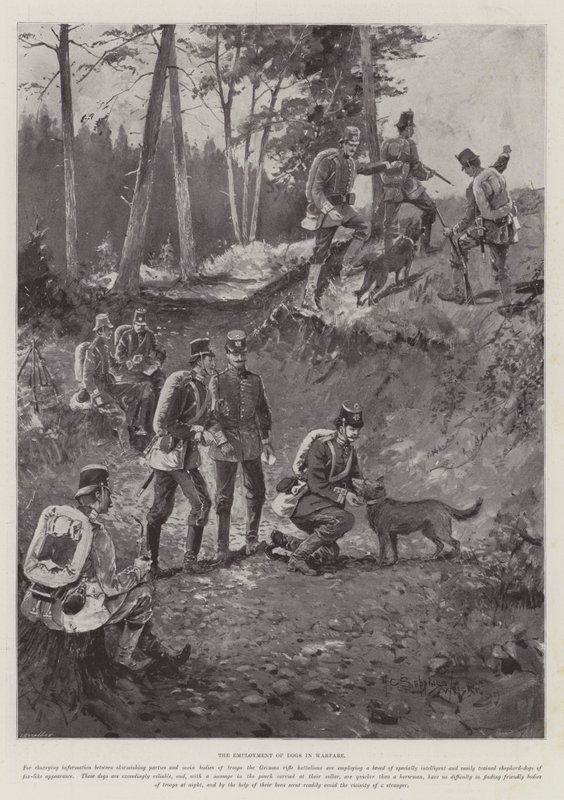Anställningen av hundar i krigföring av Henry Charles Seppings Wright