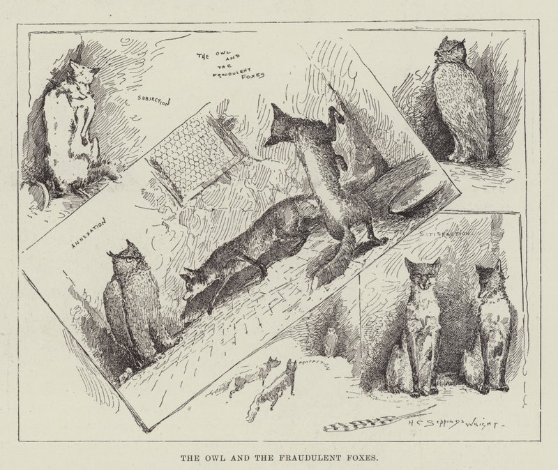 Ugglan och de bedrägliga rävarna av Henry Charles Seppings Wright