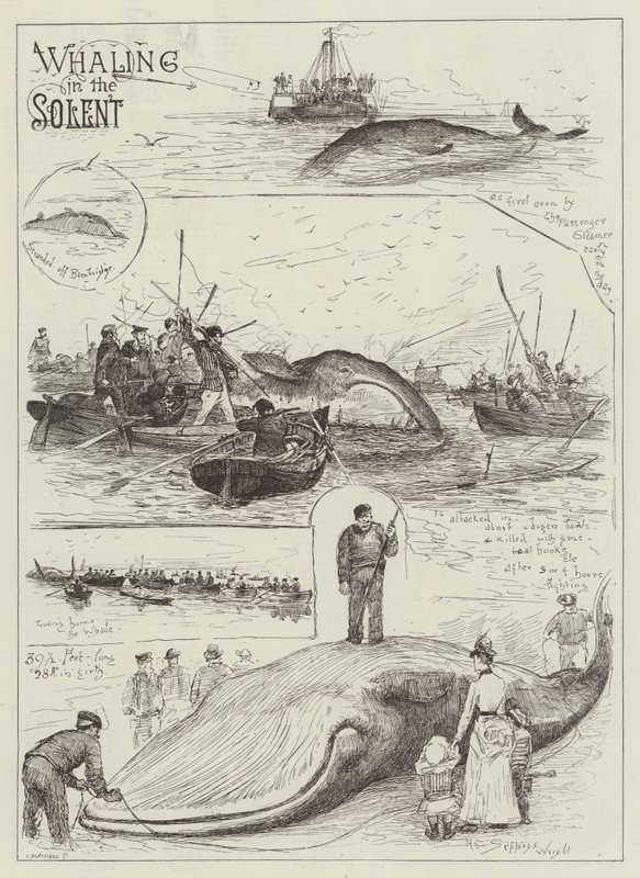 Valfångst i Solenten av Henry Charles Seppings Wright