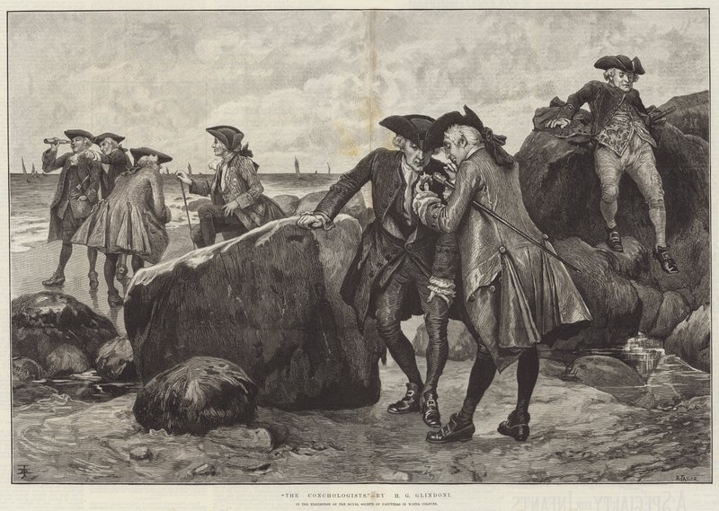 Konkologerna av Henry Gillard Glindoni