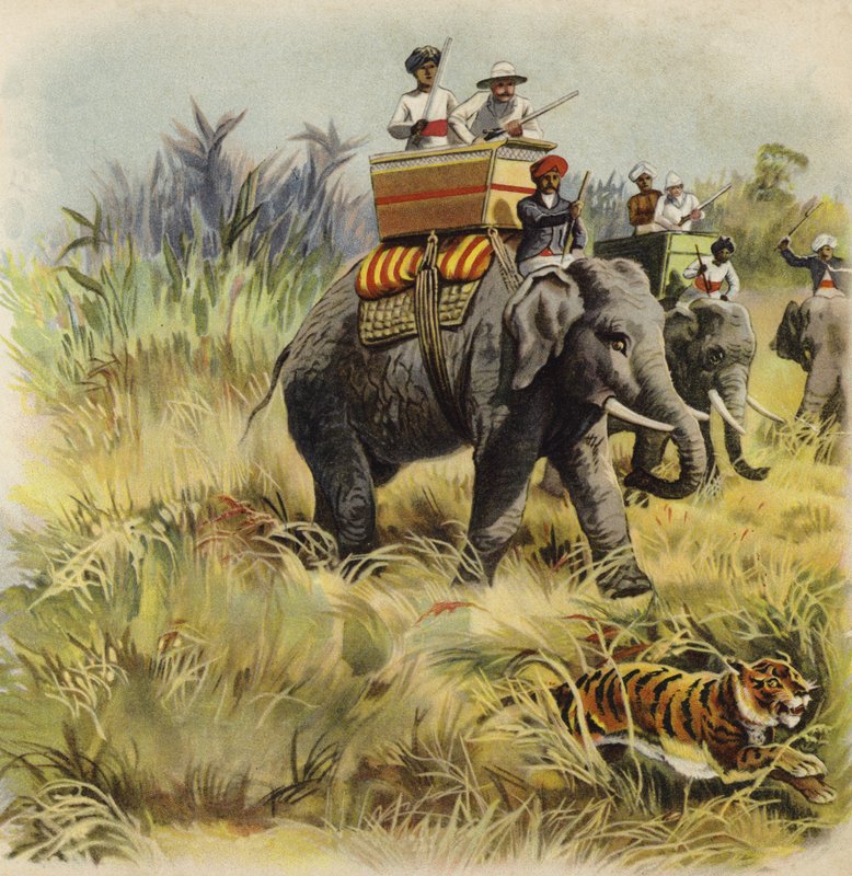 Prince of Wales tigerjakt i Indien (chromolitho) av Henry Payne