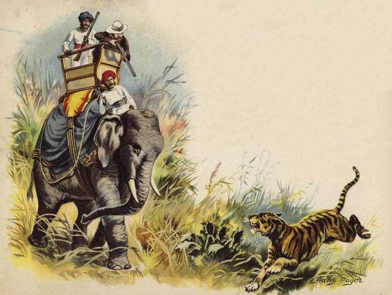 Prince of Wales tigerskjutning under den kungliga turnén i Indien, 1905 (chromolitho) av Henry Payne