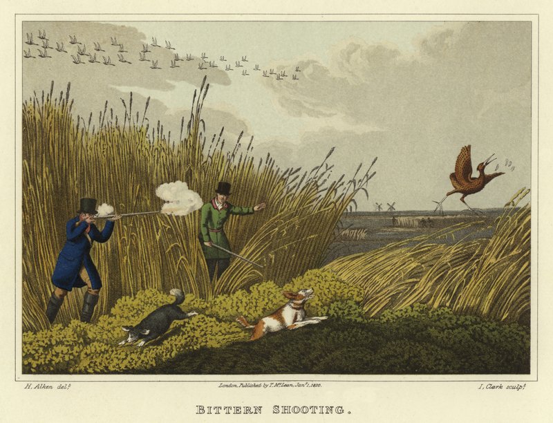 Bittern Shooting (chromolitho) av Henry Thomas Alken