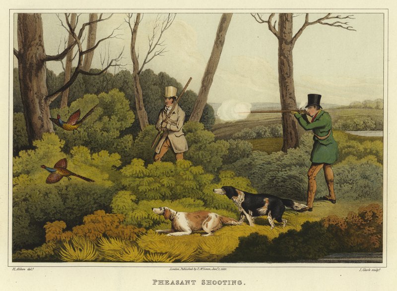 Fasanskjutning (kromolitho) av Henry Thomas Alken