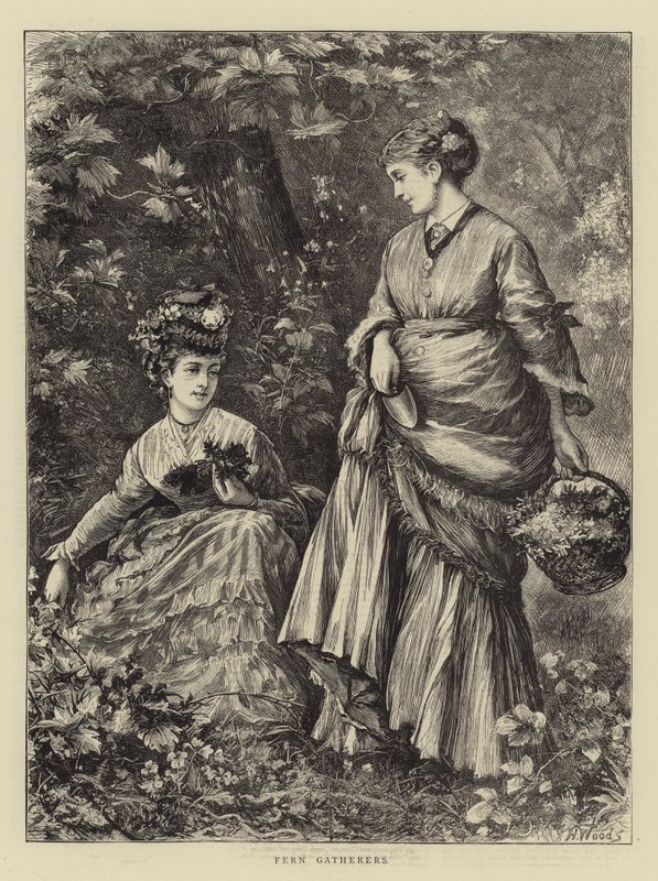 Fern Samlare av Henry Woods