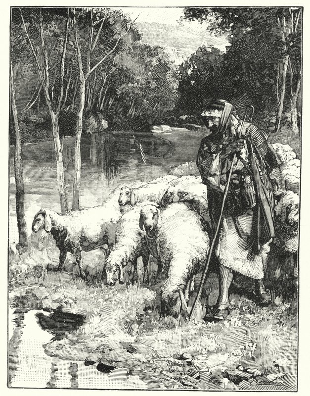 En herde och hans hjord i Anti-Libanon (litho) av Henry Andrew Harper