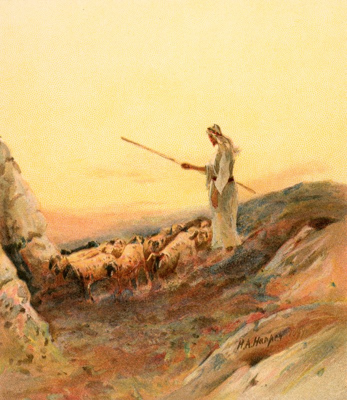 En herde som räknar sina får av Henry Andrew Harper