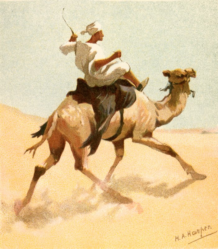En arabisk brevbärare av Henry Andrew Harper