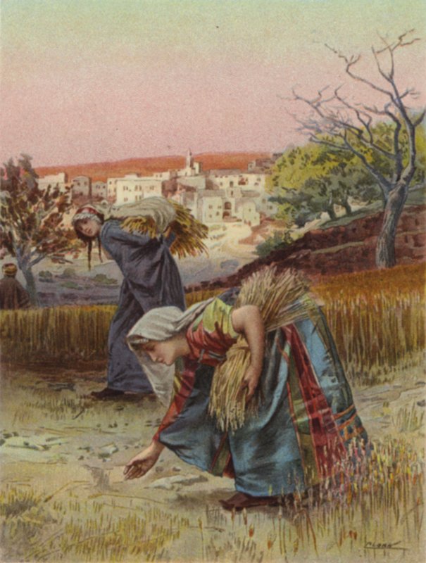 Plockare i fält (färg litho) av Henry Andrew Harper