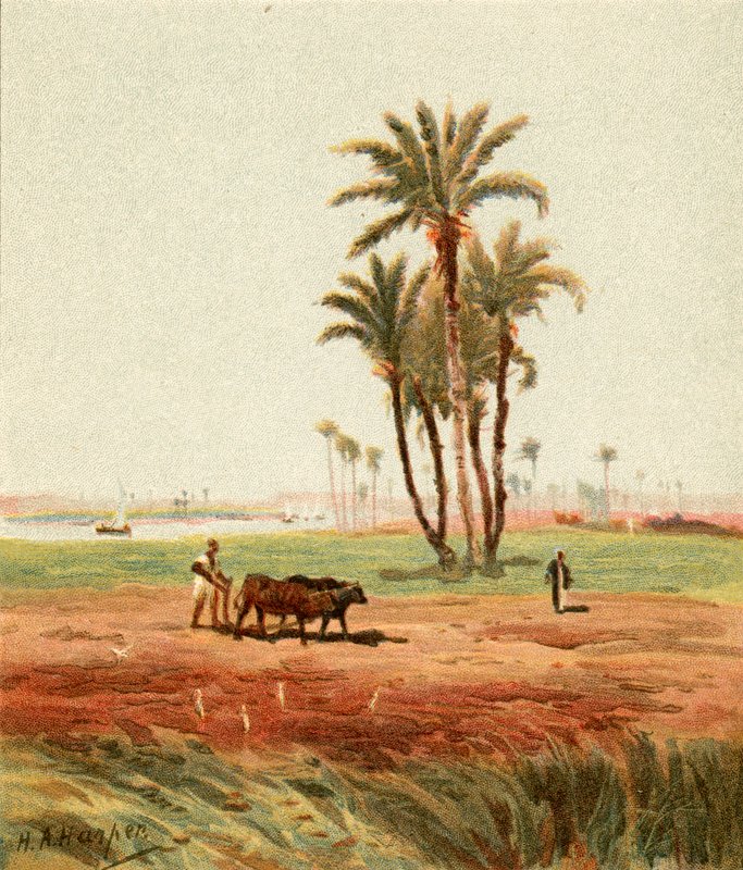 På fältet av Henry Andrew Harper