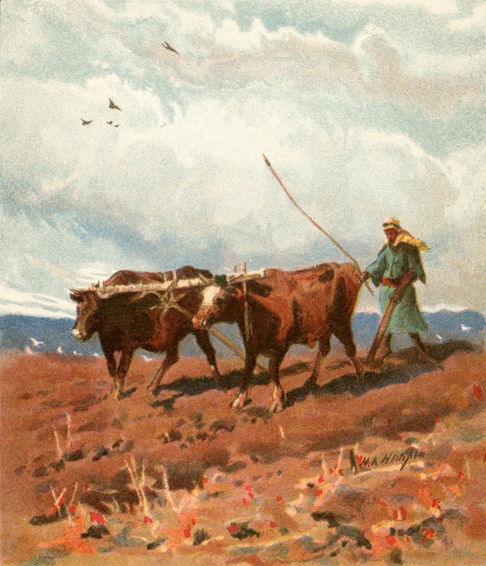 kulima av Henry Andrew Harper