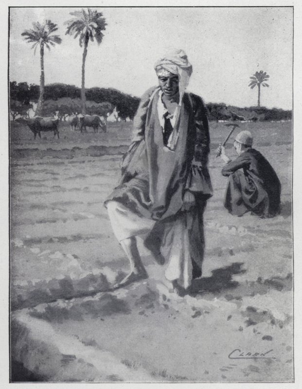 Vattna med foten i Gizeh, Egypten (litho) av Henry Andrew Harper