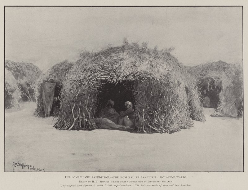 Somalilandsexpeditionen, sjukhuset i Las Durie, isoleringsavdelningar av Henry Charles Seppings Wright