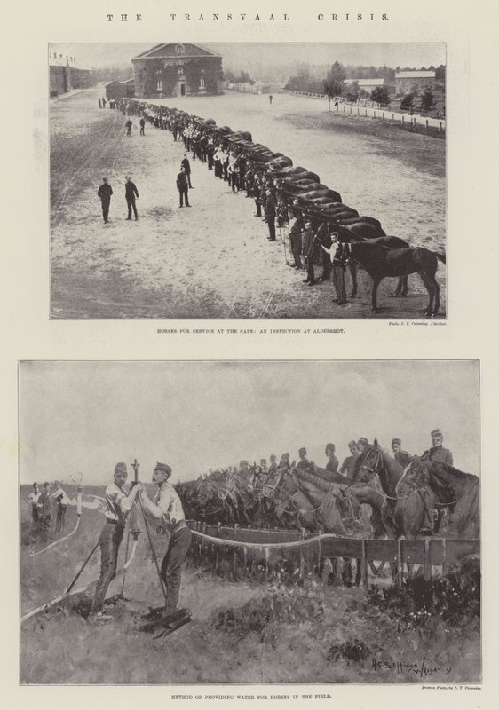 Transvaalkrisen av Henry Charles Seppings Wright