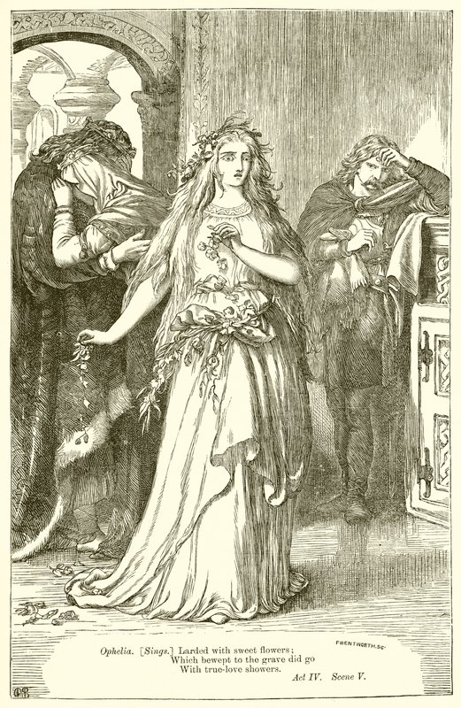 Liten by av Henry Courtney Selous