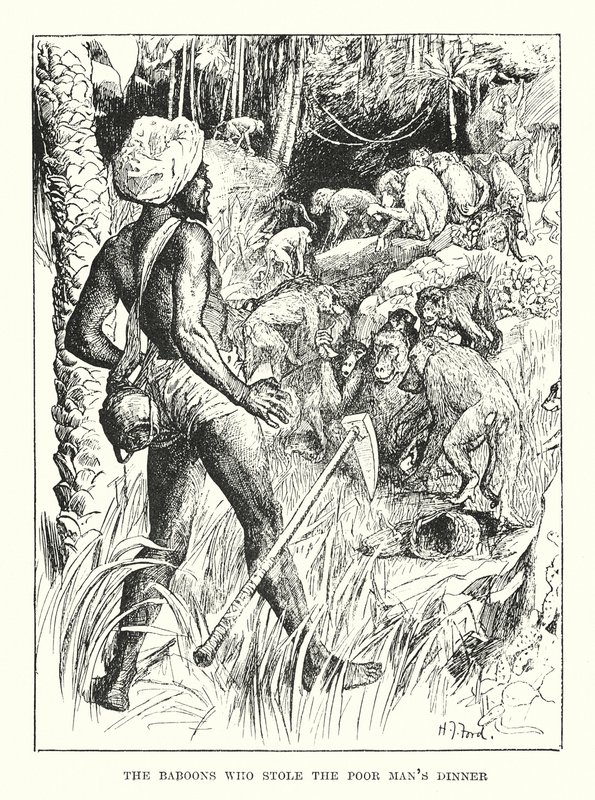Babianerna som stal den fattige mannens middag (gravyr) av Henry Justice Ford