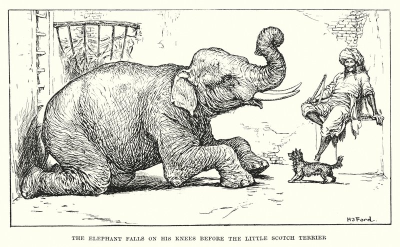 Elefanten faller på knä inför den lilla skotska terriern (gravyr) av Henry Justice Ford