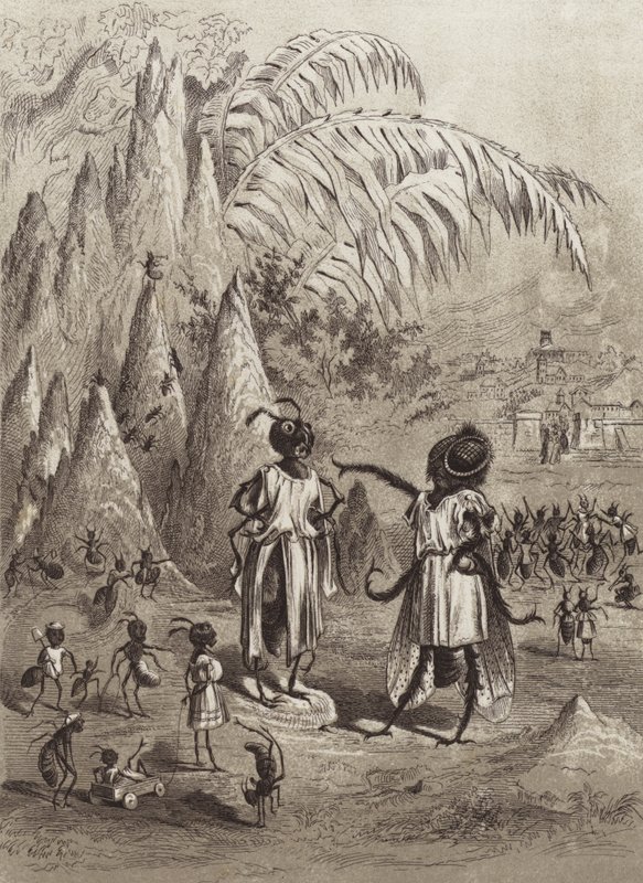 The Fables of Aesop: Myran och flugan (litho) av Henry Louis Stephens