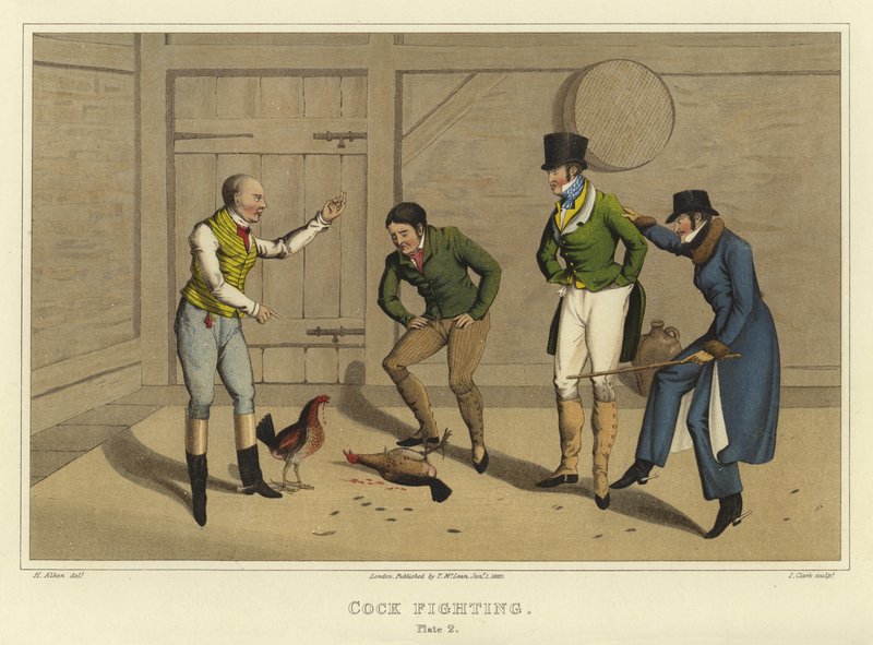 Cock Fighting (chromolitho) av Henry Thomas Alken