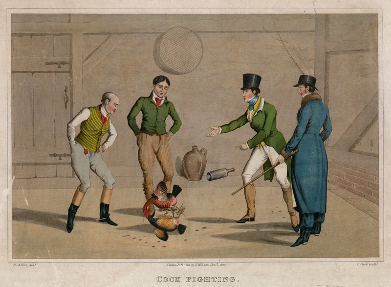 Kukstrider av Henry Thomas Alken