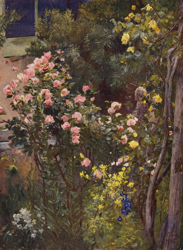 I en rosenträdgård, Catherine Mermet och Marechal Niel hemma (färglitografi) av Herbert Arnould Olivier