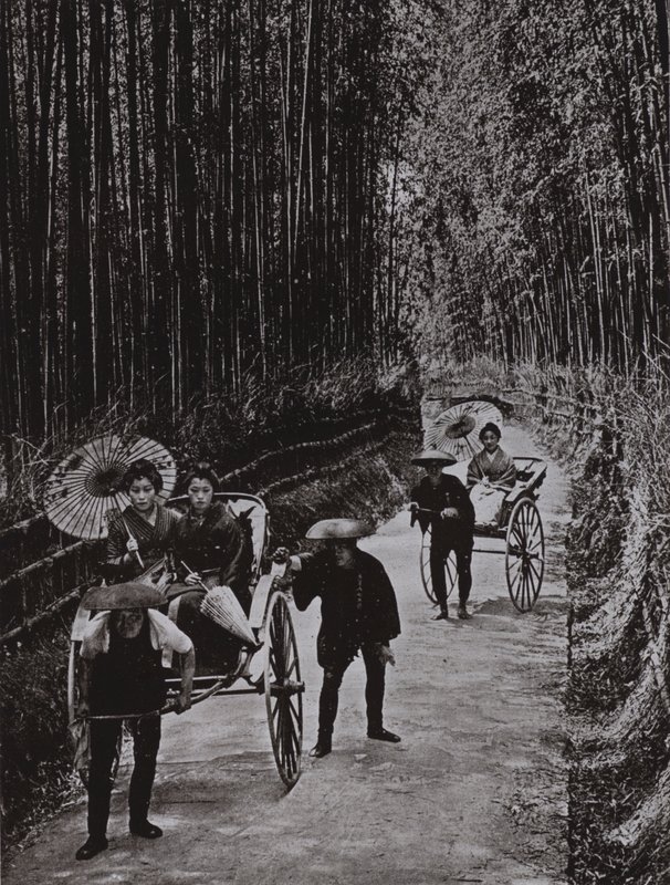 A Bamboo Avenue i Kyoto (s/v foto) av Herbert Ponting
