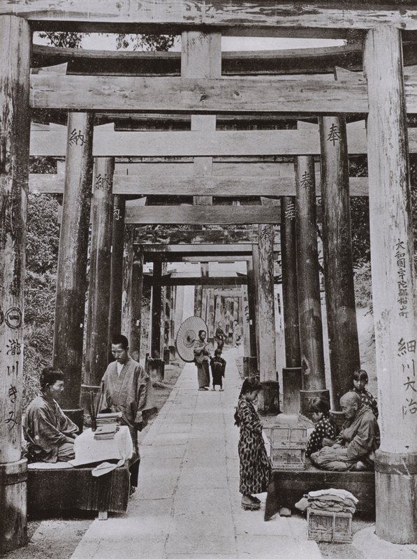 An Avenue of Torii vid Inari Temple (s/v foto) av Herbert Ponting