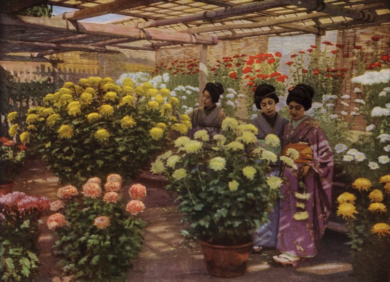 På Chrysanthemum Show (foto) av Herbert Ponting