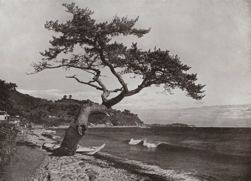 Atami (s/v foto) av Herbert Ponting