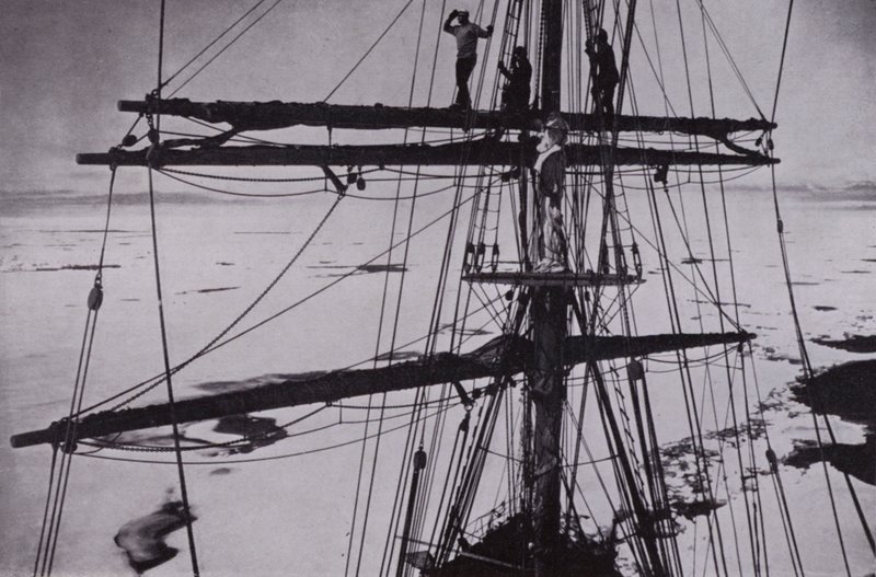 "I tjugo dagar höll flocken dem" (s/v foto) av Herbert Ponting