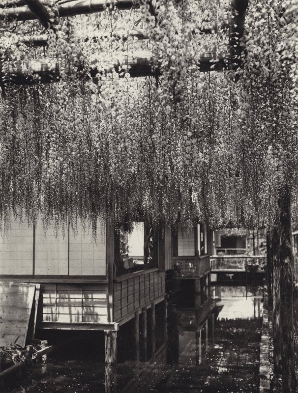 Japan på 1920-talet: Tokyo, Kameido (s/v foto) av Herbert Ponting