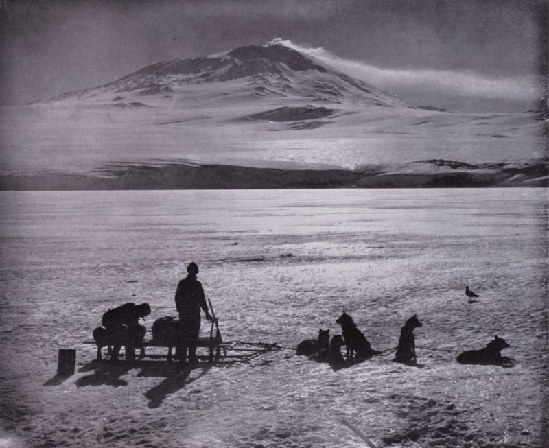 Släde och hundar, med berget Erebus i bakgrunden (s/v foto) av Herbert Ponting