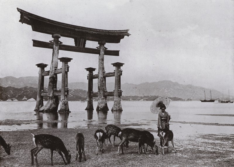The Old Torii at Miyajima (s/v foto) av Herbert Ponting