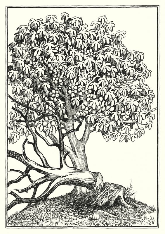 Illustration till Bergspredikan (gravyr) av Horace J. Knowles