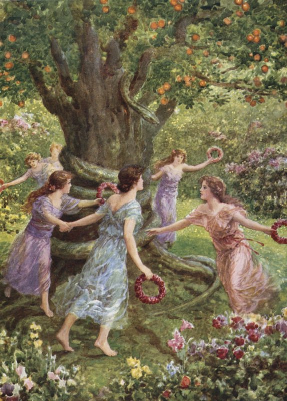 Perseus såg dem dansa runt det förtrollade trädet. Från hur Perseus dräpte Gorgon (färg litho) av Howard Davie