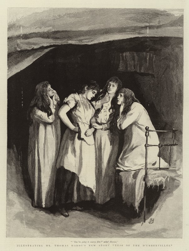 Tess från D
