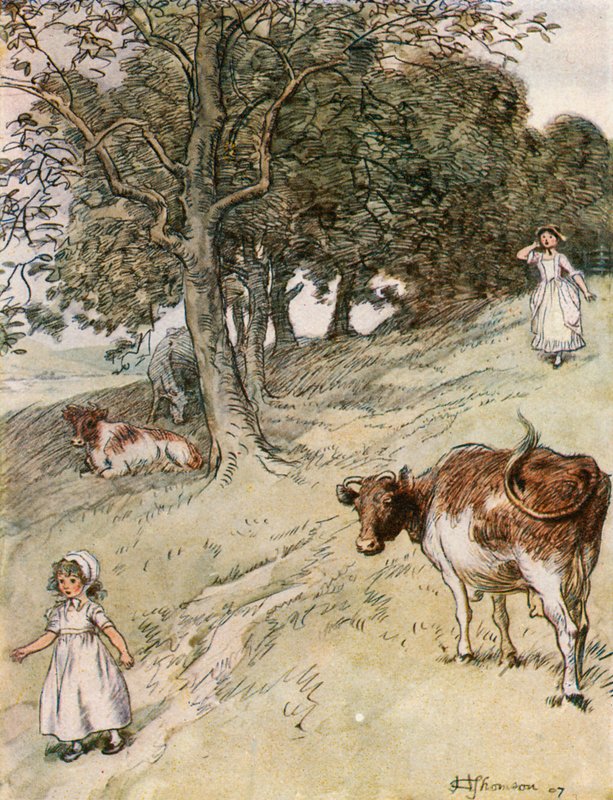 "The Field