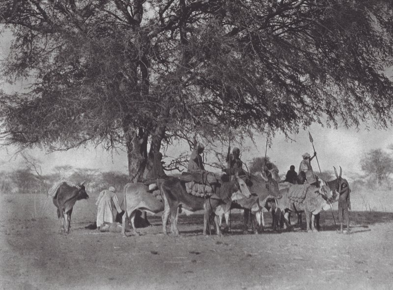 Afrika: Karavan med oxryttare på Vita Nilen (svartvitt foto) av Hugo Adolf Bernatzik