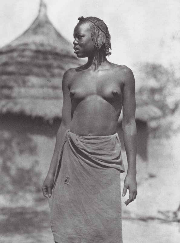 Afrika: Eliri flicka (svartvitt foto) av Hugo Adolf Bernatzik