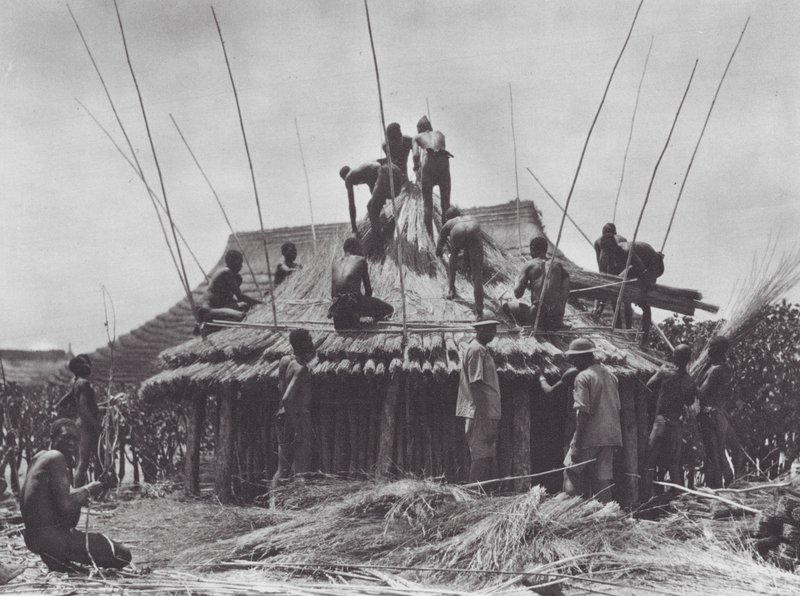 Afrika: Uppförande av raststuga nära Amadi (svartvitt foto) av Hugo Adolf Bernatzik