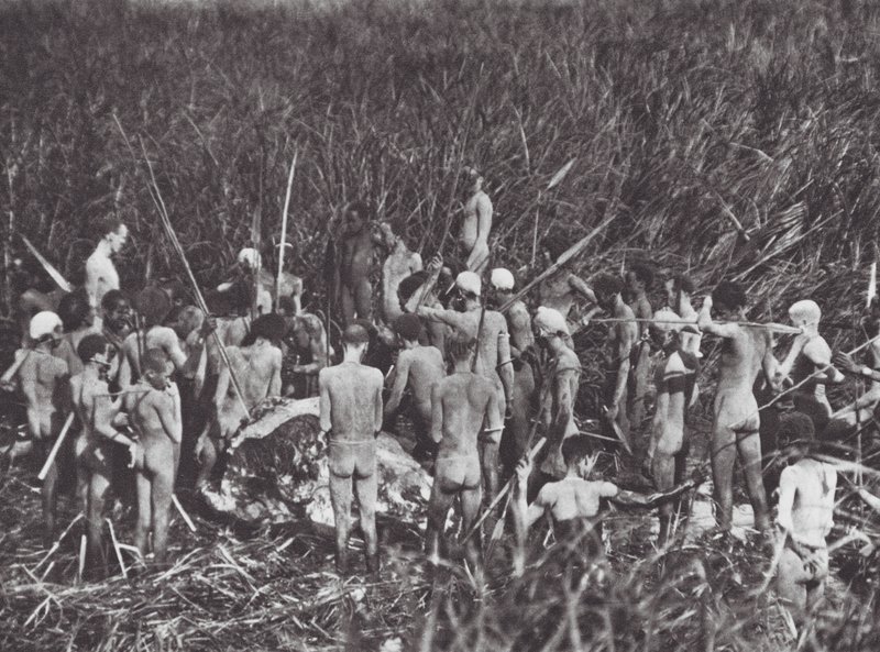 Afrika: Nuer-jägare med elefantkropp (svartvitt foto) av Hugo Adolf Bernatzik