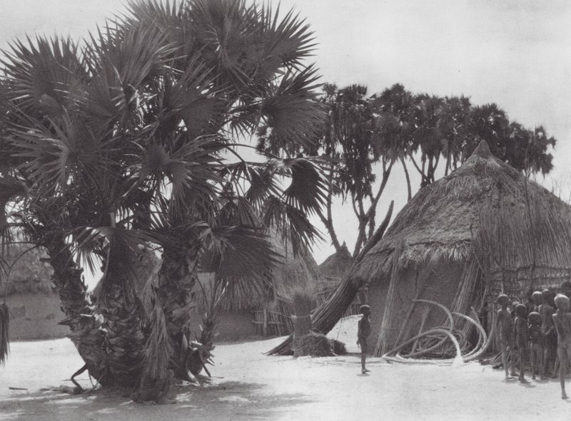 Afrika: Shilluk-by vid Vita Nilen (svartvitt foto) av Hugo Adolf Bernatzik