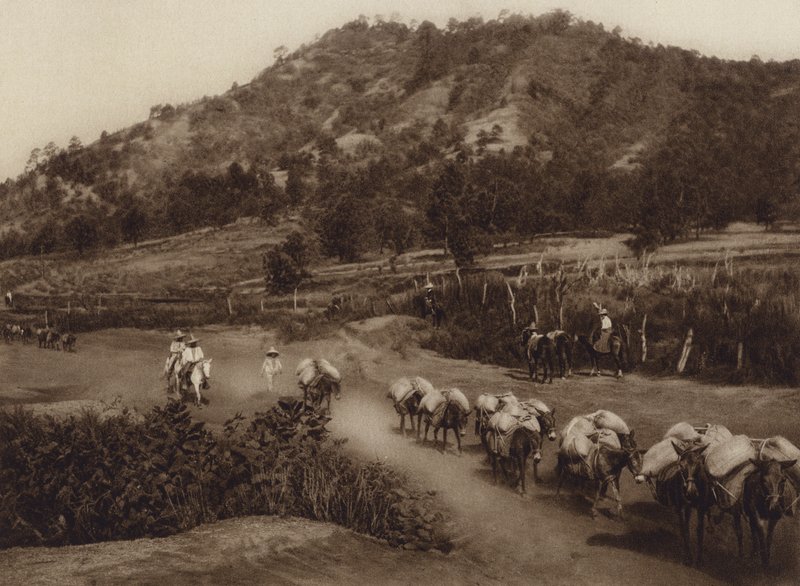 Mexiko: Transportnav i det inre av landet (svartvitt foto) av Hugo Brehme