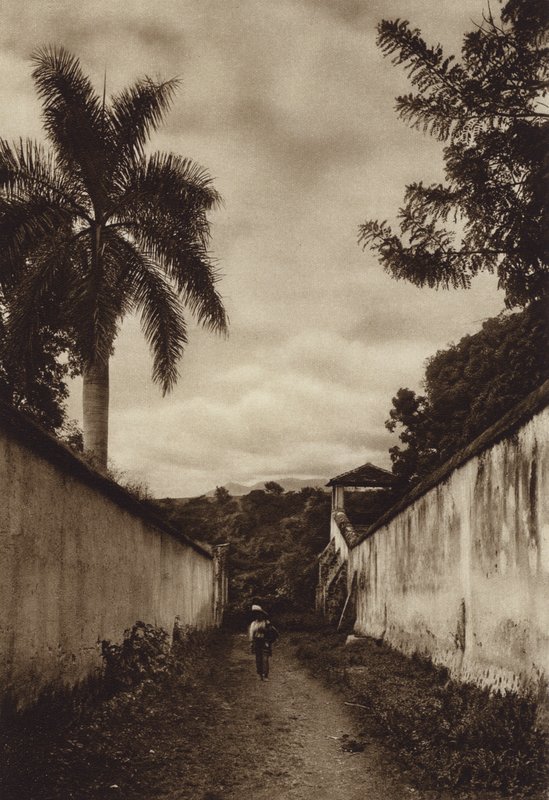 Mexiko: Cuernavaca, gata som leder till byn San Antonio (svartvitt foto) av Hugo Brehme