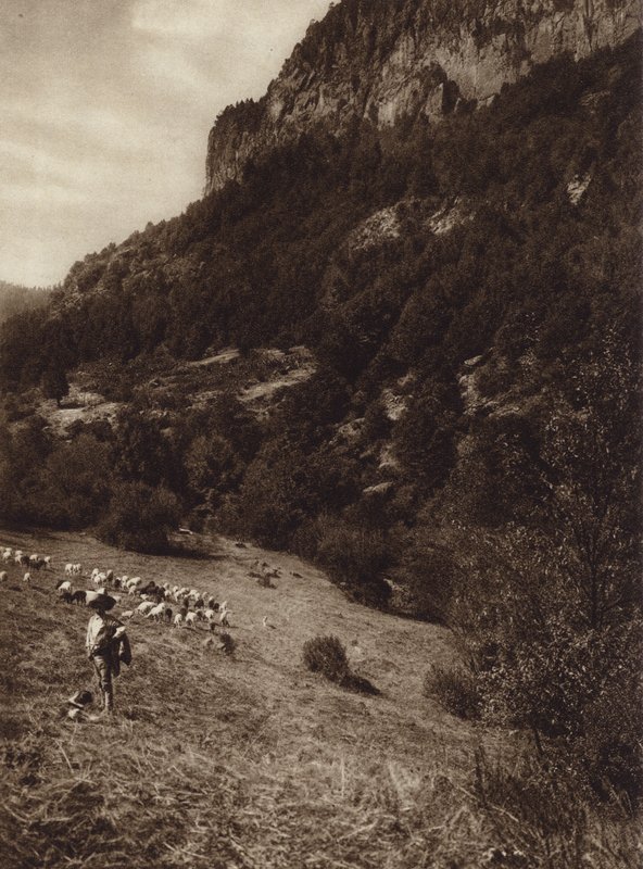 Mexiko: La Canada, Contreras, D F (svartvitt foto) av Hugo Brehme