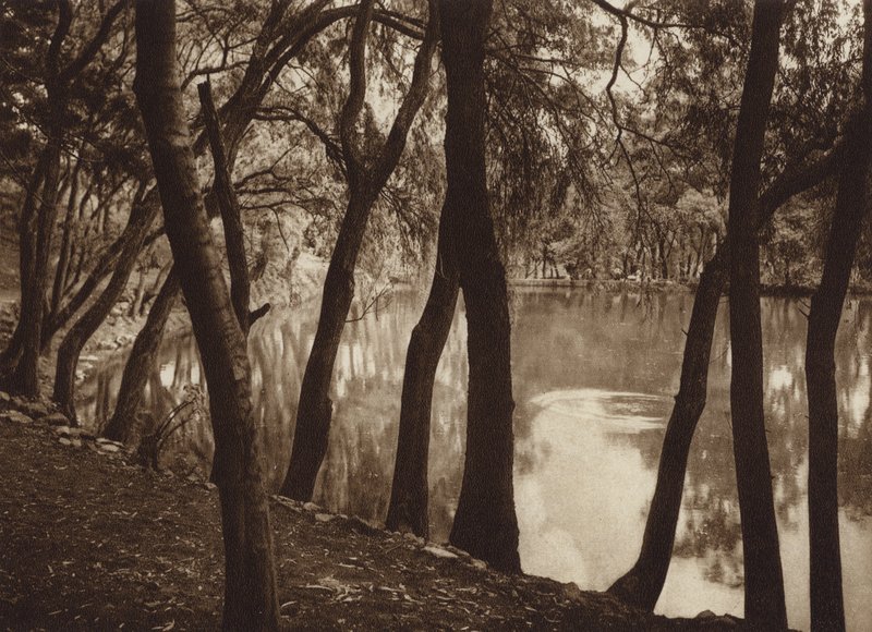 Mexiko: Las fuentes de Tlalpam D F (svartvitt foto) av Hugo Brehme