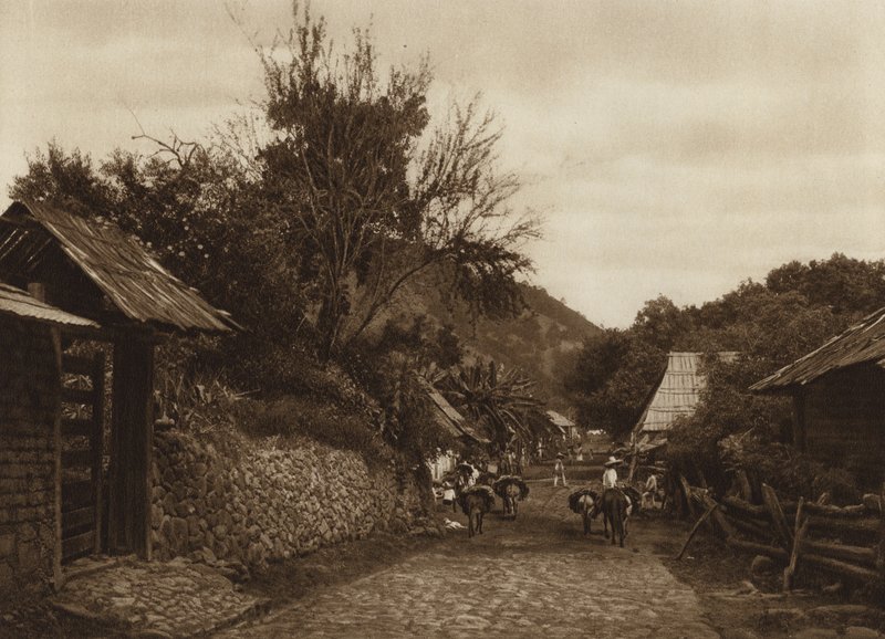 Mexiko: Uruapams omgivningar (svartvitt foto) av Hugo Brehme