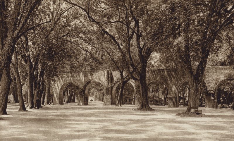 Mexiko: Morelia, gammal vattenledning (svartvitt foto) av Hugo Brehme