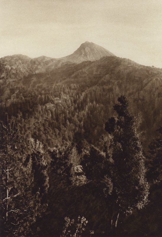 Mexiko: Nevado de Colima, Partiell vy (svartvitt foto) av Hugo Brehme